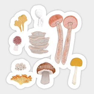 Mushroom Medley Sticker